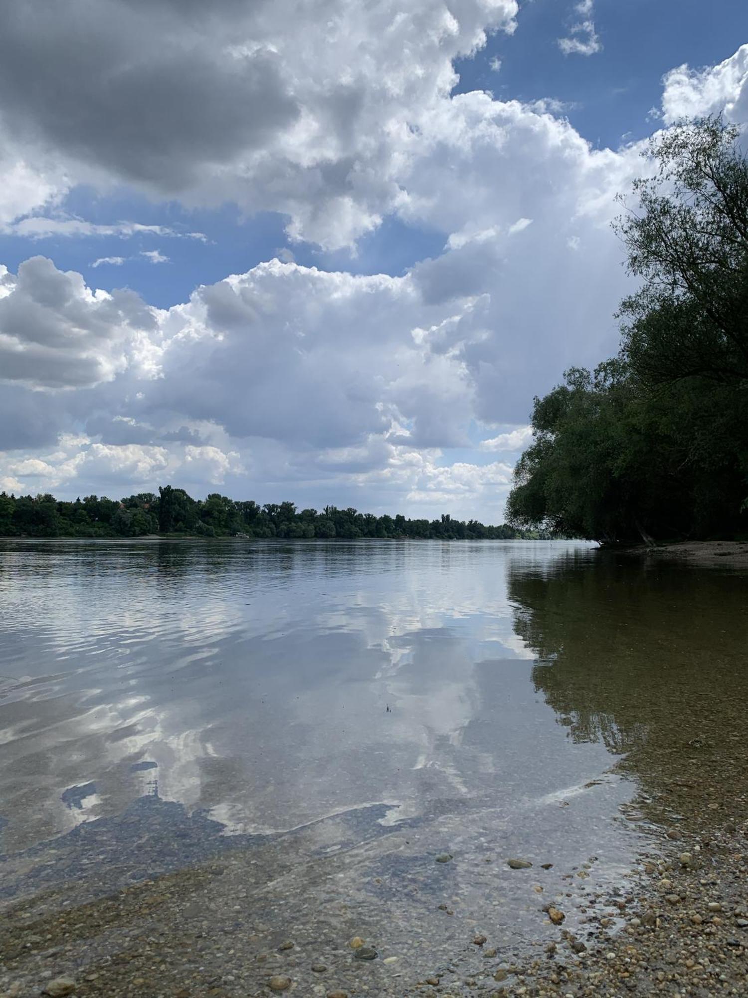 Marika Vendeghaz Villa Szigetmonostor Exteriör bild