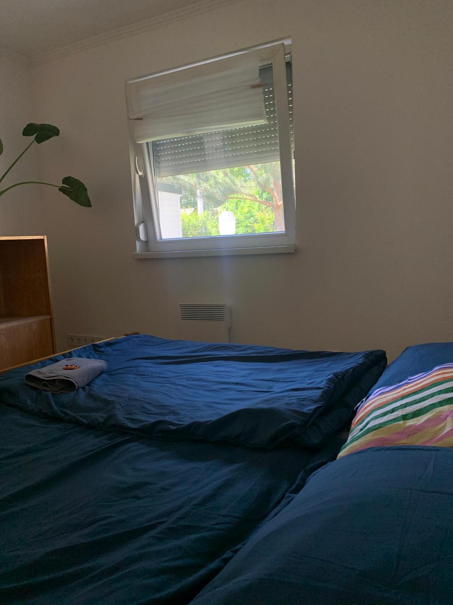 Marika Vendeghaz Villa Szigetmonostor Exteriör bild